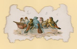 Uccelli (litografia a colori)