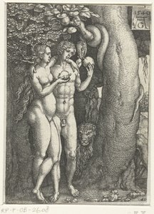 La caduta dell