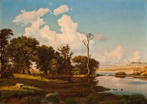 Danese: Paesaggio danese, alberi di quercia vicino a un lago. Paesaggio danese, alberi di quercia vicino a un lago.