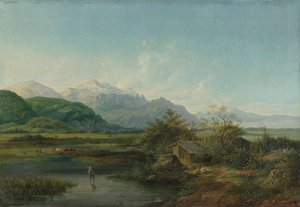 Paesaggio paludoso dell