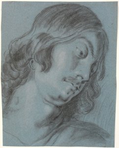 Testa di Giovane Uomo, Piegata a Destra da Heinrich Dittmers