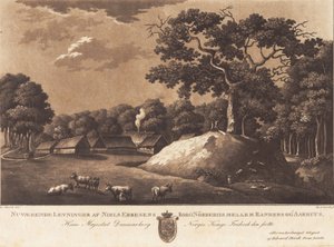 Resti attuali del castello di Niels Ebbesen Nørreriis. E Storch del. da Heinrich Grosch