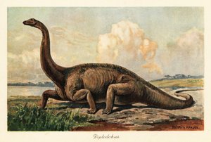 Diplodocus longus estinto nelle pianure da Heinrich Harder