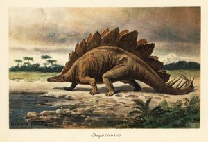 Stegosaurus armatus del Giurassico superiore da Heinrich Harder