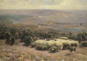 Un gregge di pecore nella Luneburger Heide, 1902