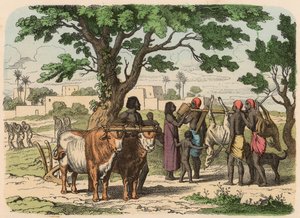 Antico Egitto: agricoltura e caccia