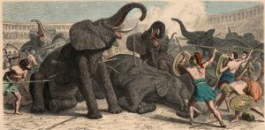 Antica Roma: Elefanti uccisi nell