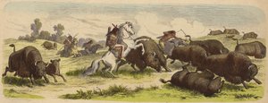 Nativi americani a cavallo che cacciano bufali (incisione colorata)