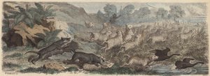 Tigri della Tasmania che attaccano pecore in Tasmania