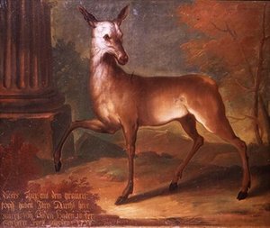Un capriolo da Heinrich Lihl