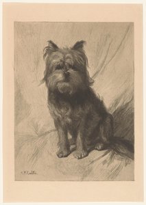 Cane da pastore olandese da Heinrich M. Krabbé