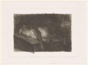 Scimmia sdraiata e dormiente