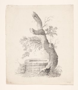 Un vecchio albero vicino a un pozzo
