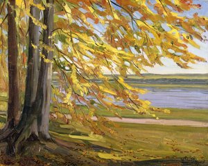 Lago di Starnberg, 1911 da Heinrich Wilhelm Truebner