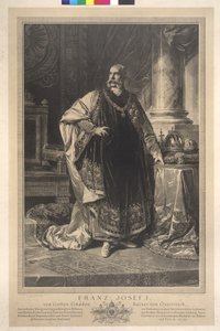 Figura intera in piedi Francesco Giuseppe I in abito di velluto da Heinrich von Angeli
