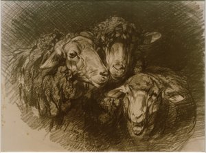 Pecore da Heinrich von Zügel