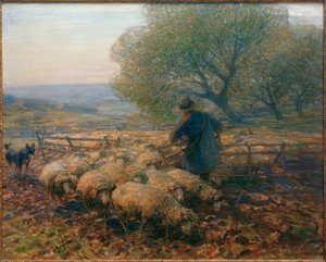 Pecore che lasciano il recinto