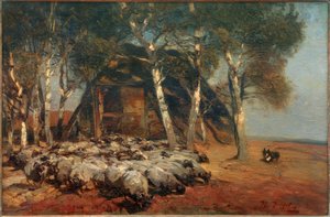 Gregge di pecore al Koben