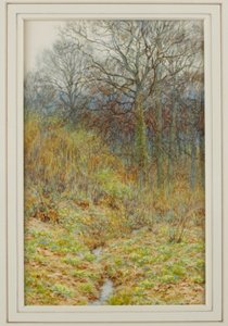 Il nostro bosco di primule da Helen Allingham