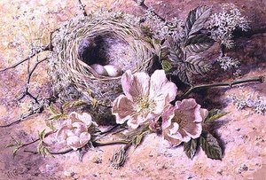 Fioritura e nido d