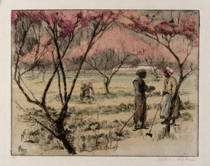 Una primavera del sud da Helen Hyde