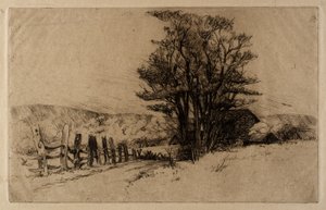 Primavera in fattoria