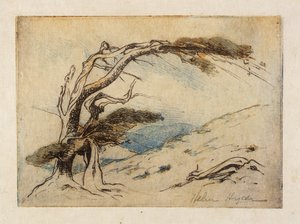 La sopravvivenza del più adatto da Helen Hyde