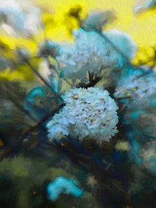 Fioritura di Maggio, 2019 da Helen White