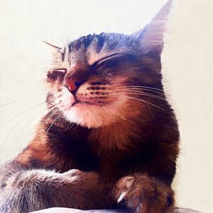Il Gatto che ha Preso la Panna, 2018 da Helen White