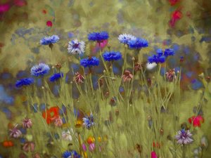 Blu fiordaliso
