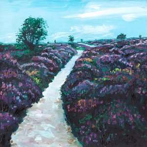 Brughiera di erica da Helen White
