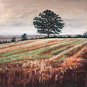 Campo del Tardo Pomeriggio da Helen White
