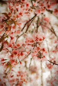 Orientalis, 2020 da Helen White