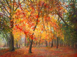 Bellezza Eccezionale da Helen White