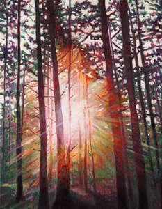Esplosione Solare, 2010 da Helen White