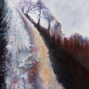 Cascata V, 2016