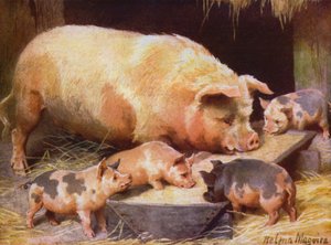 Scrofa e maialini da Helena J. Maguire