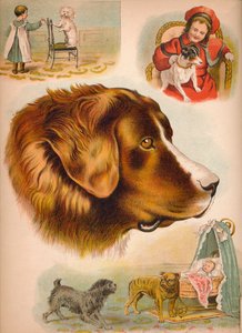 Il cane, c1900