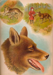 Il lupo da Helena J. Maguire