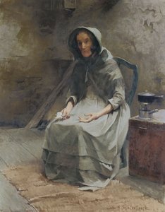 Rosa d