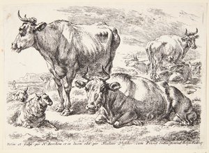 Ritratto di un membro della famiglia Out. Cornelis Out (?) da Hendrick Goltzius