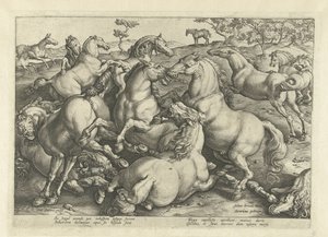 Dodici cavalli in lotta da Hendrick Goltzius