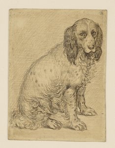  da Hendrick Goltzius
