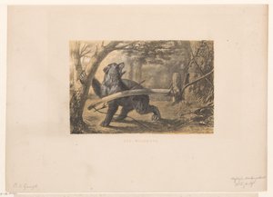 Orso in una trappola da Hendrik Adriaan Christiaan Dekker