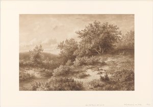 Paesaggio con ruscello e cespugli da Hendrik Dirk Kruseman van Elten