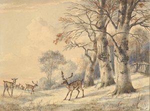 Cervi sotto faggi in estate, 1853 da Hendrik Gerrit ten Cate