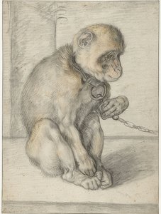 Scimmia seduta con una catena da Hendrik Goltzius