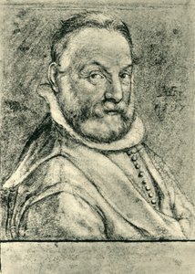 Ritratto di un uomo con la barba da Hendrik Goltzius