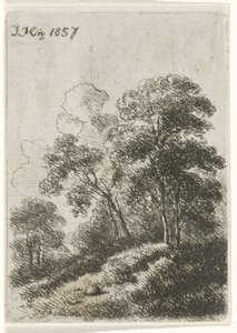 Alberi su una collina da Hendrik Jan Hein