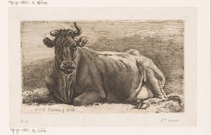 Mucca sdraiata